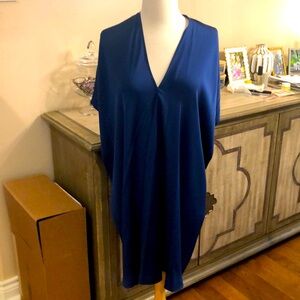 Blue Vince silk dress